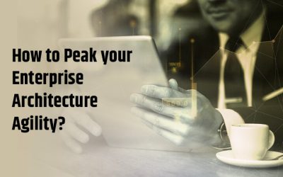 How to Peak your Enterprise Architecture Agility